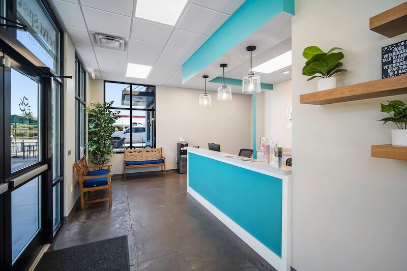 Top rated veterinarian in Lexington, SC