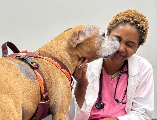 Dental Care & Oral Surgery