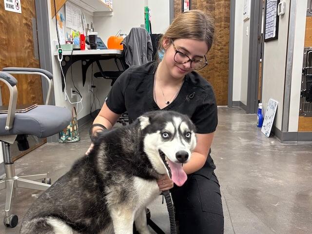 Diagnostic & Treatment Services