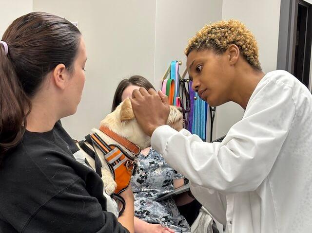 Routine & Soft Tissue Surgery