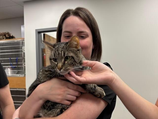 Wellness & Preventative Care